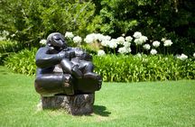 Kirstenbosch Garden, Bo-Kaap-Penguins & Cape of Good Hope Tour