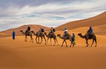 7D Desert Private Tour From Marrakech By Fes And Blue Chefchaouen