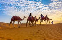 Dubai Half Day City Tour With Desert Safari, BBQ Dinner & More