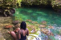 Full day Private Hidden Beach Escape 