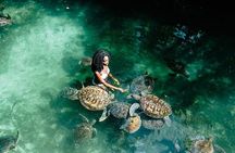 Full day Private Hidden Beach Escape 