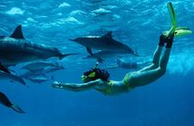 Full day Private Hidden Beach Escape 