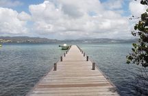 Day trip at sea to the Fonds Blancs Martinique Windward Coast