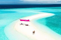 Safari Blue Private Full-Day Tour