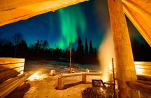 Northern Lights Tour in Atmospheric Cottage