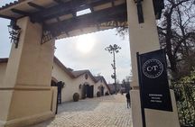 Premium Excursion in Concha y Toro