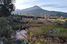 Low cost Ushuaia National Park Private tour