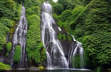 Private Full Day Tour In Bali