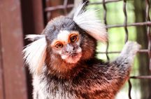 Puerto Vallarta Botanical Gardens Hiking Tour