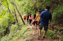 Puerto Vallarta Botanical Gardens Hiking Tour