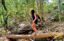 Puerto Vallarta Botanical Gardens Hiking Tour