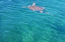 Honor Roll Private Bahamas Boat Charter