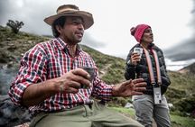 Two days horseback riding in the Andes, a real gaucho experience.