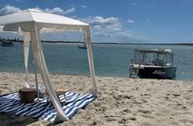 Surfers Paradise to Wavebreak Island Pelican Cruise + Picnic