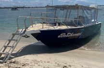 Surfers Paradise to Wavebreak Island Pelican Cruise + Picnic