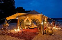 Hurghada Desert Safari and Bedouin Dinner