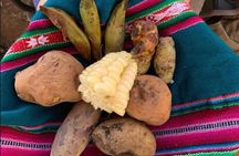 Half Day Andean Llama Trek in the Sacred Valley 