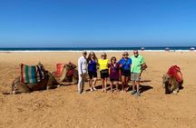 Tangier tour from Malaga all inclusive