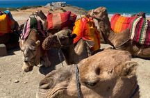 Tangier tour from Malaga all inclusive