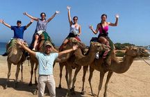 Full Day Private Tangier Day Tour