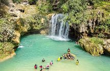 Oslob Whale Shark Snorkeling & Kawasan Canyoning Tour
