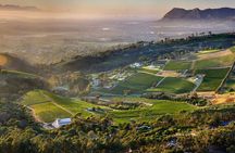  Wine Tasting in Constantia Region Cape Town 