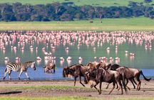 3-Day fly in Private Safari in Serengeti and Ngorongoro