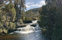 Day Excursion Burnie Cradle Mt National Park