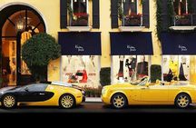 Private and Exclusive 3 hours Beverly Hills Tour in Hollywood
