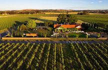 Elderton Elite Tasting Experience