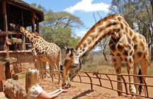 Layover Tour To Nairobi Park and Giraffe center in Nairobi Kenya