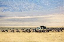 3-Day Private Safari to Lake Manyara, Tarangire & Ngorongoro