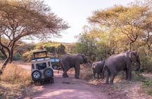 3-Day Private Safari to Lake Manyara, Tarangire & Ngorongoro