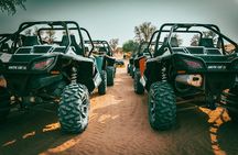 Dubai Private Buggy Ride with Dinner and Live Shows 