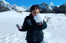 Day Tour to Everest Base Camp By Helicopter from Kathmandu group sharing flight