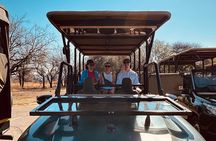 Full Day Exquisite Pilanesberg Safari from Johannesburg