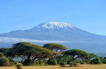 Full Day, Small Group Guided Tour to Amboseli National Park