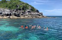 Koh Samui Pig Island Tour by Speedboat with Snorkeling