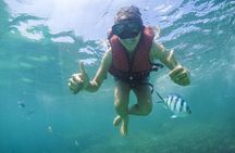 Koh Samui Pig Island Tour by Speedboat with Snorkeling