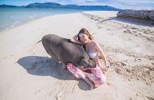 Koh Samui Pig Island Tour by Speedboat with Snorkeling