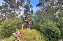 3D ARCHERY EXPERIENCE (1,5 guided tour) in Somerset West