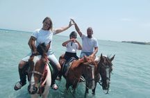 Hurghada: Red Sea & Desert Horse Riding Tour with Swimming