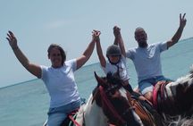 Hurghada: Red Sea & Desert Horse Riding Tour with Swimming
