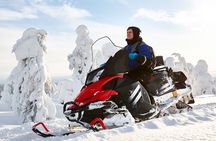 Easy Snowmobile Safari