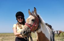 Horseback Trail Riding and Hiking - Day Trip from Belgrade
