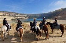 Horseback Trail Riding and Hiking - Day Trip from Belgrade