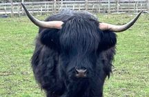 Private Tour of the Highlands, Glencoe and Castles from Stirling