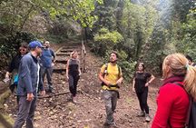 Pitigliano in the footstep of the Etruscan: Hike and wine tasting