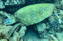 One Tank Scuba Diving in Kauai South Shore Certified Diver Only