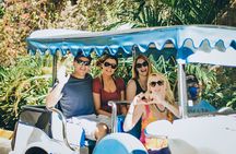 Mazatlan City Tour by Traditional Open Air Vehicle Pulmonia